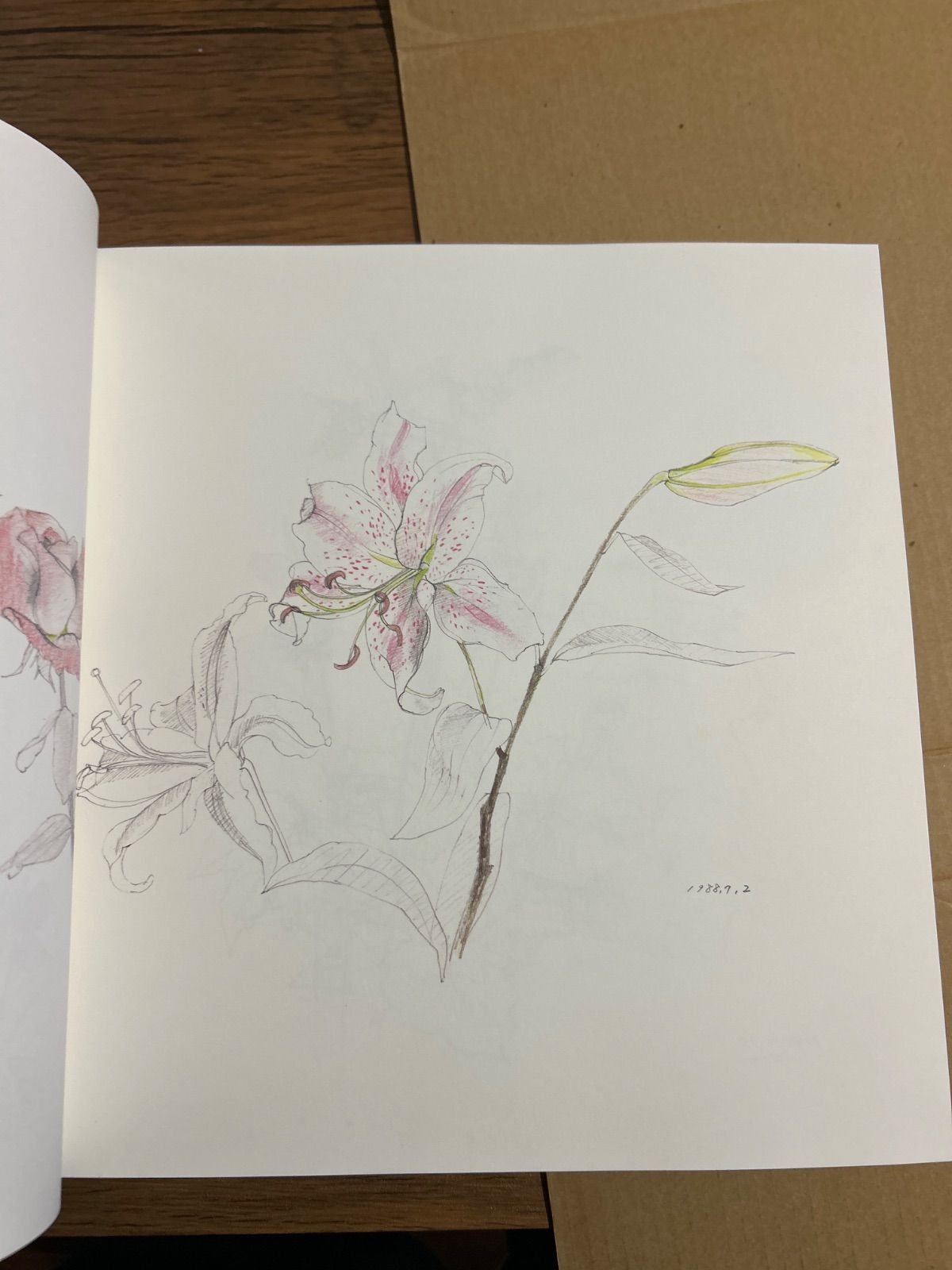 定価3.9万・絶版】松岡政信画集「花の譜」 - メルカリ