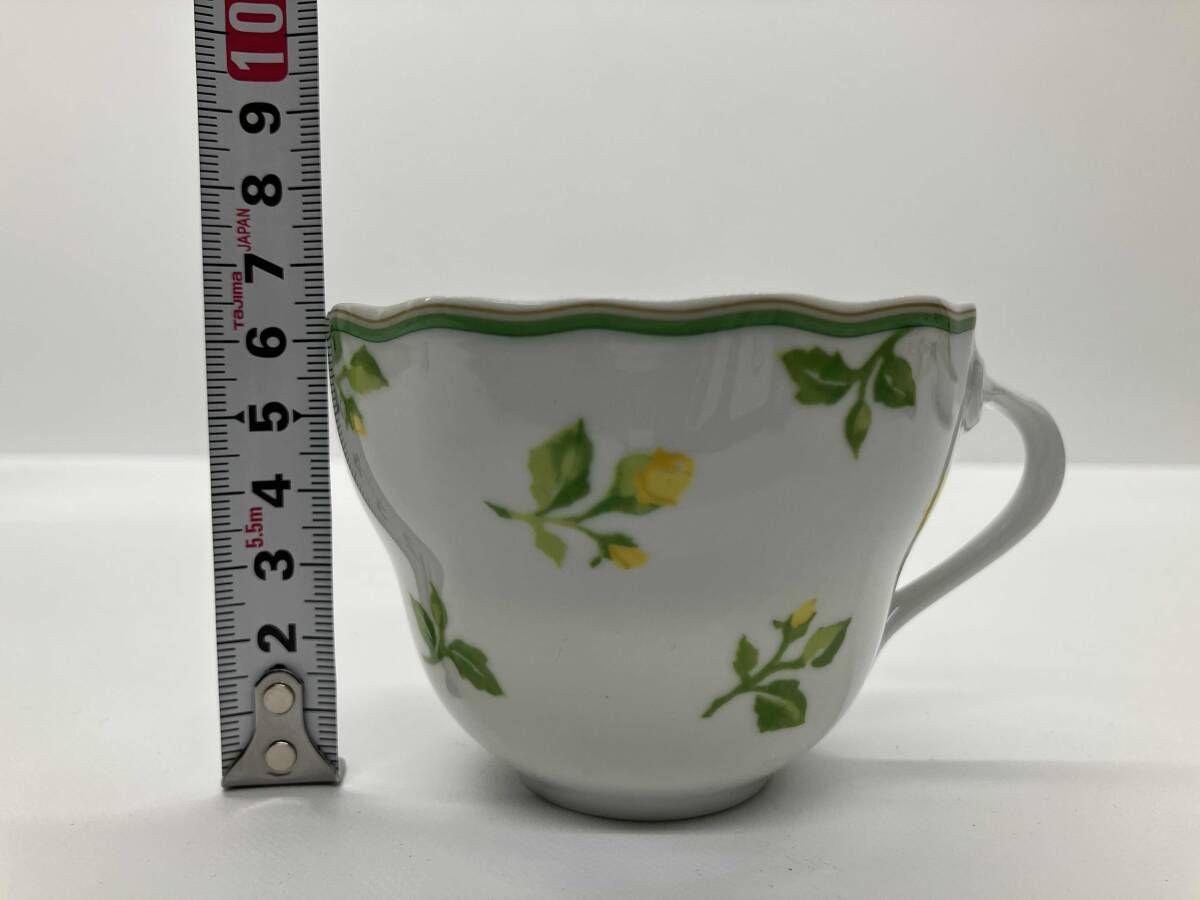 HUTSCHENREUTHER サマードリーム カップ&ソーサー プレートセット フッ