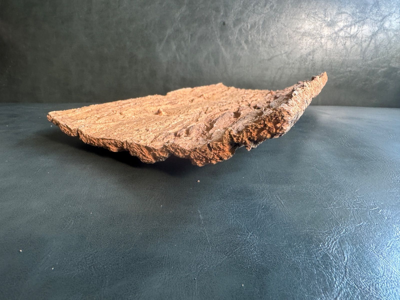 メルカリ便 イオナンタ アルボマジナータ クランプコルク着生 2026年