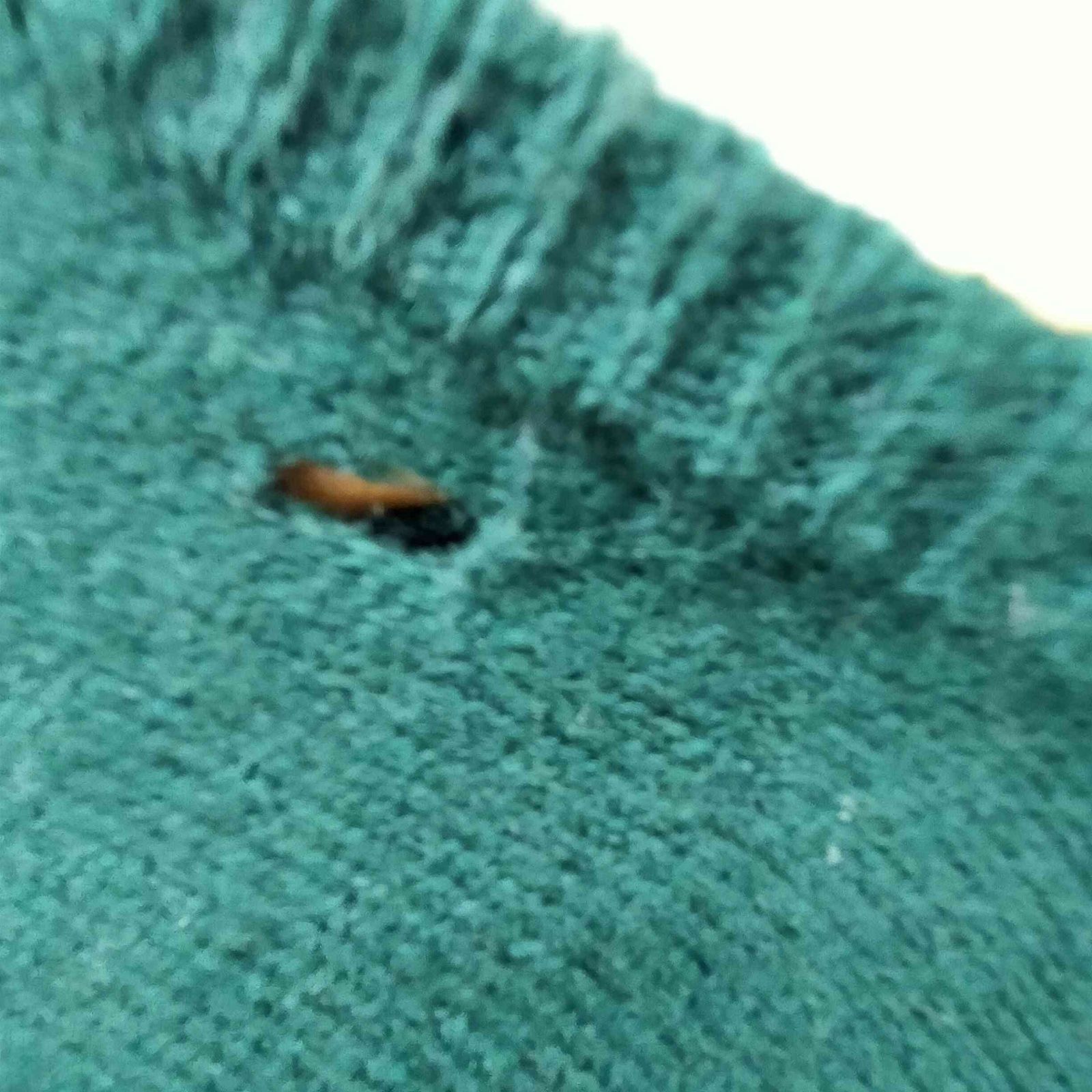 ポロバイラルフローレン Polo by RALPH LAUREN 90S ポニー刺繍