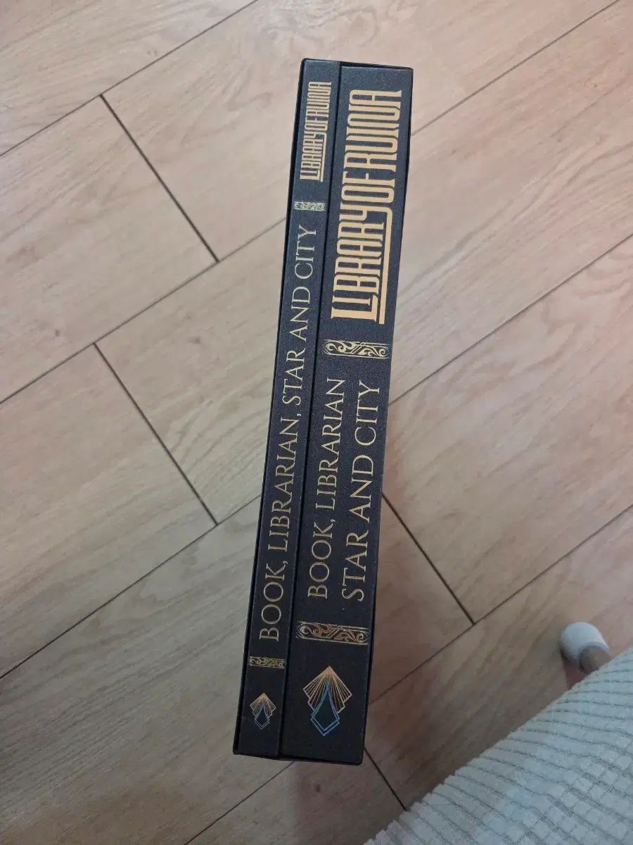 ラオル アートブック (ライブラリー オブ ルイナ) - メルカリ