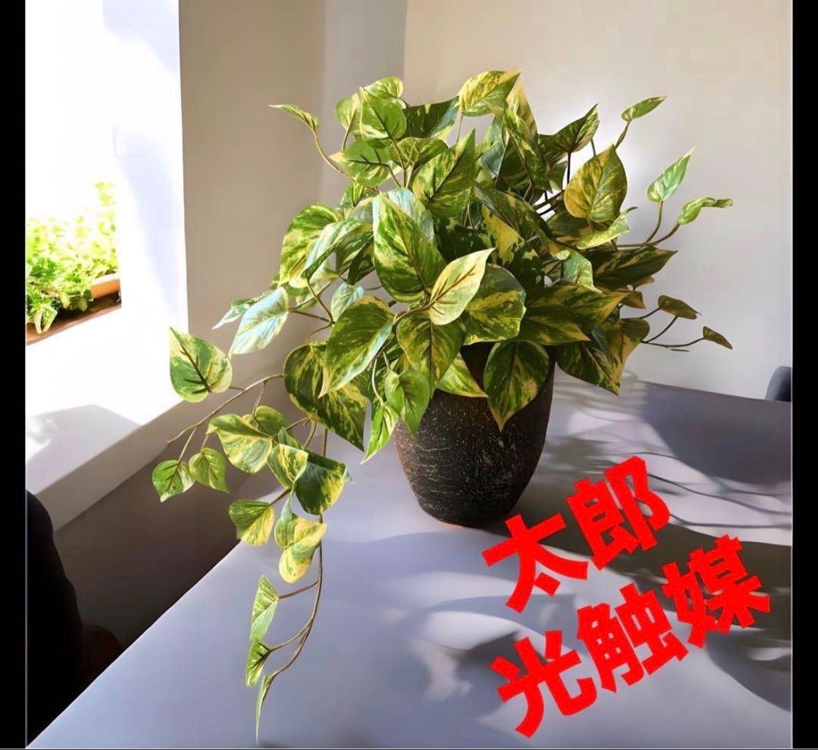 光触媒 人工観葉植物 ウォールグリーン フェイクグリーン ポトス4756