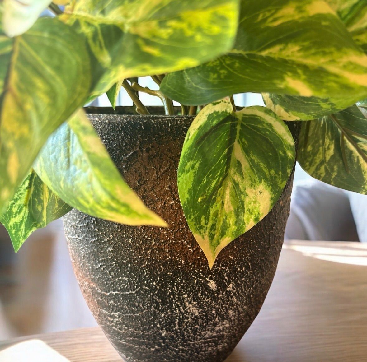 光触媒 人工観葉植物 ウォールグリーン フェイクグリーン ポトス4756