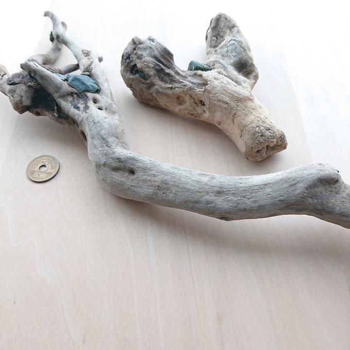 流木 約13.5cm～42cm 210881 - メルカリ