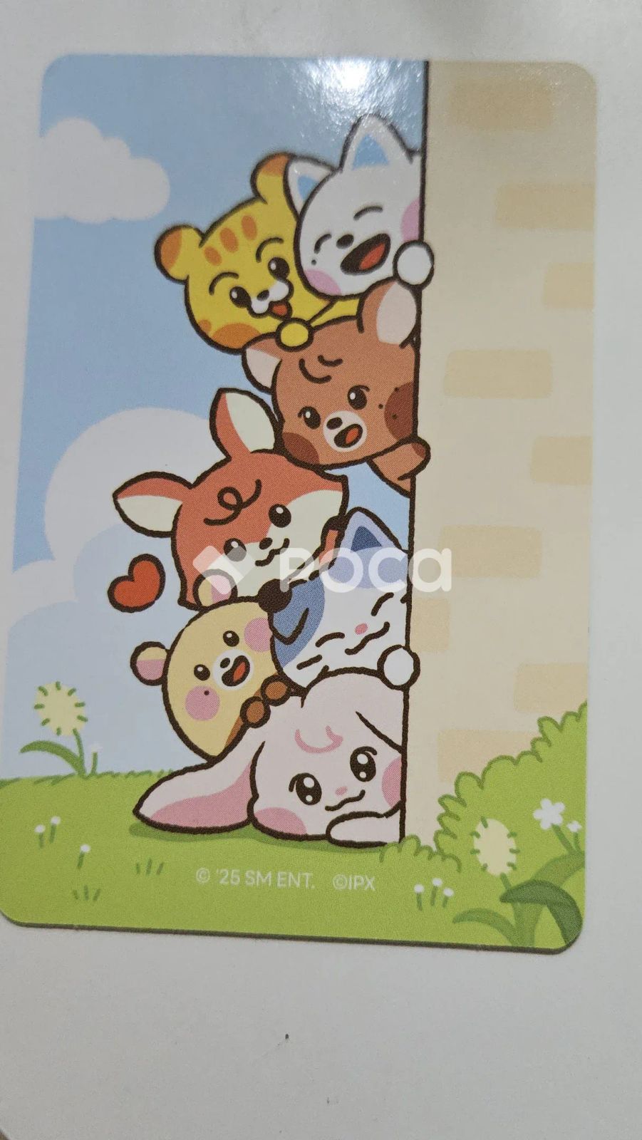 NCT チョンロ Dreamiez's Dream Forest ポップアップ ランダム