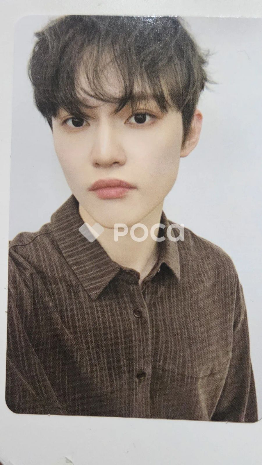 NCT チョンロ Dreamiez's Dream Forest ポップアップ ランダム