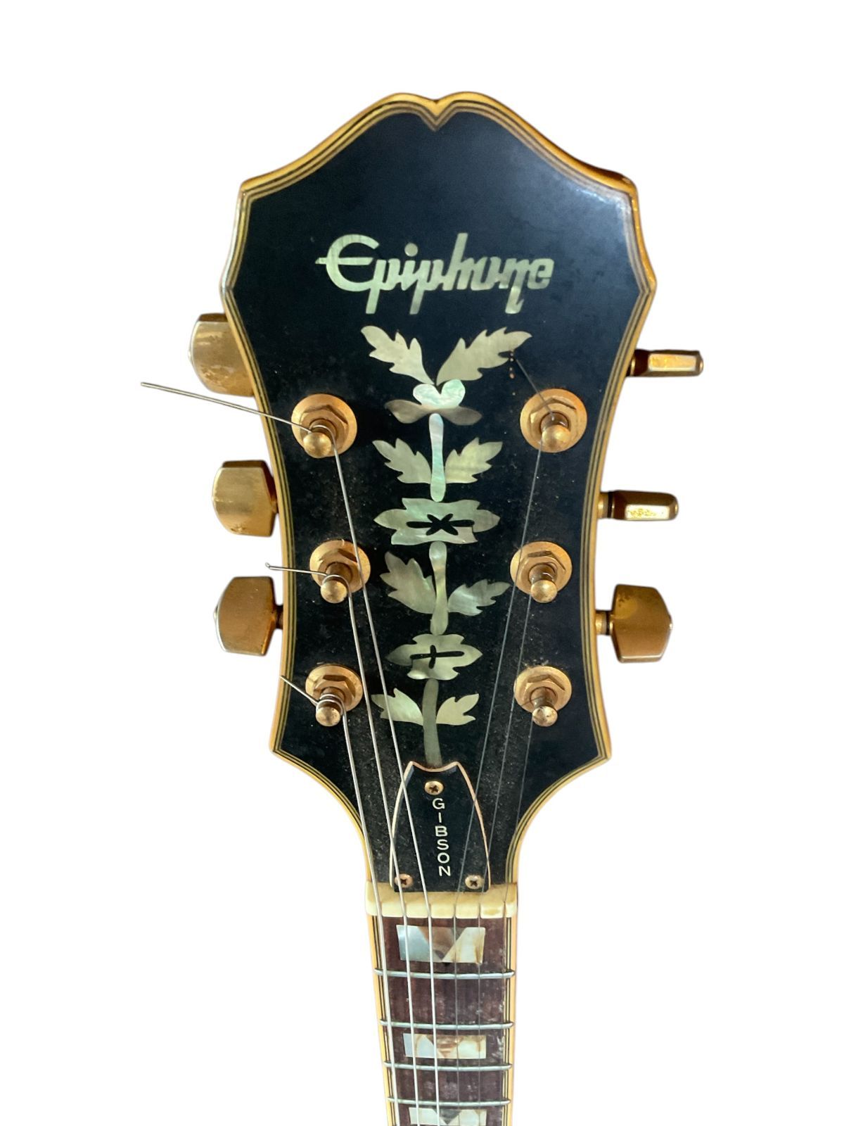 MSC-002》 EPIPHONE エピフォン SHERATON シェラトン ナチュラル