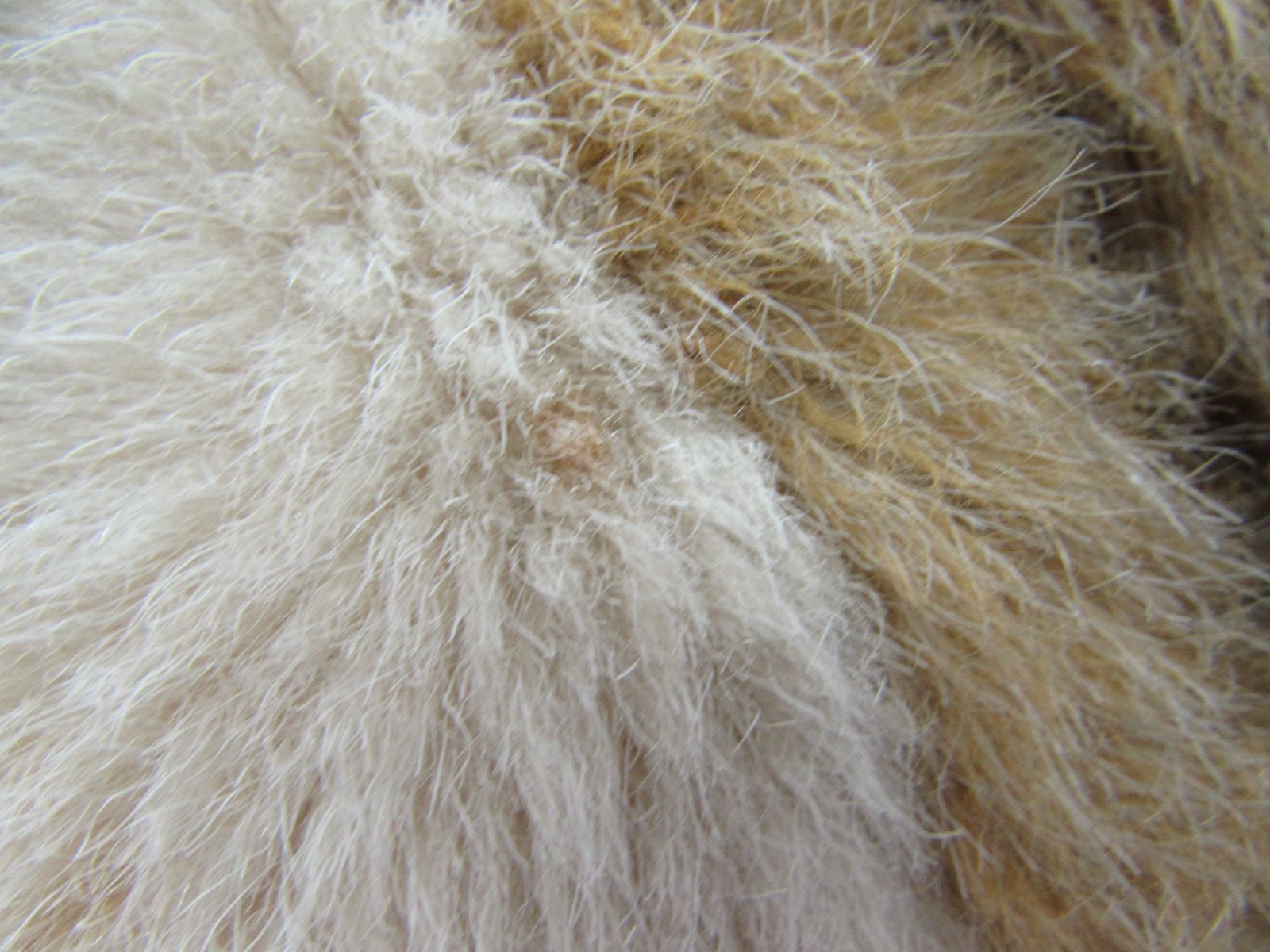 昭和レトロ Excellent FIRST エクセレント ファースト社 ハイ