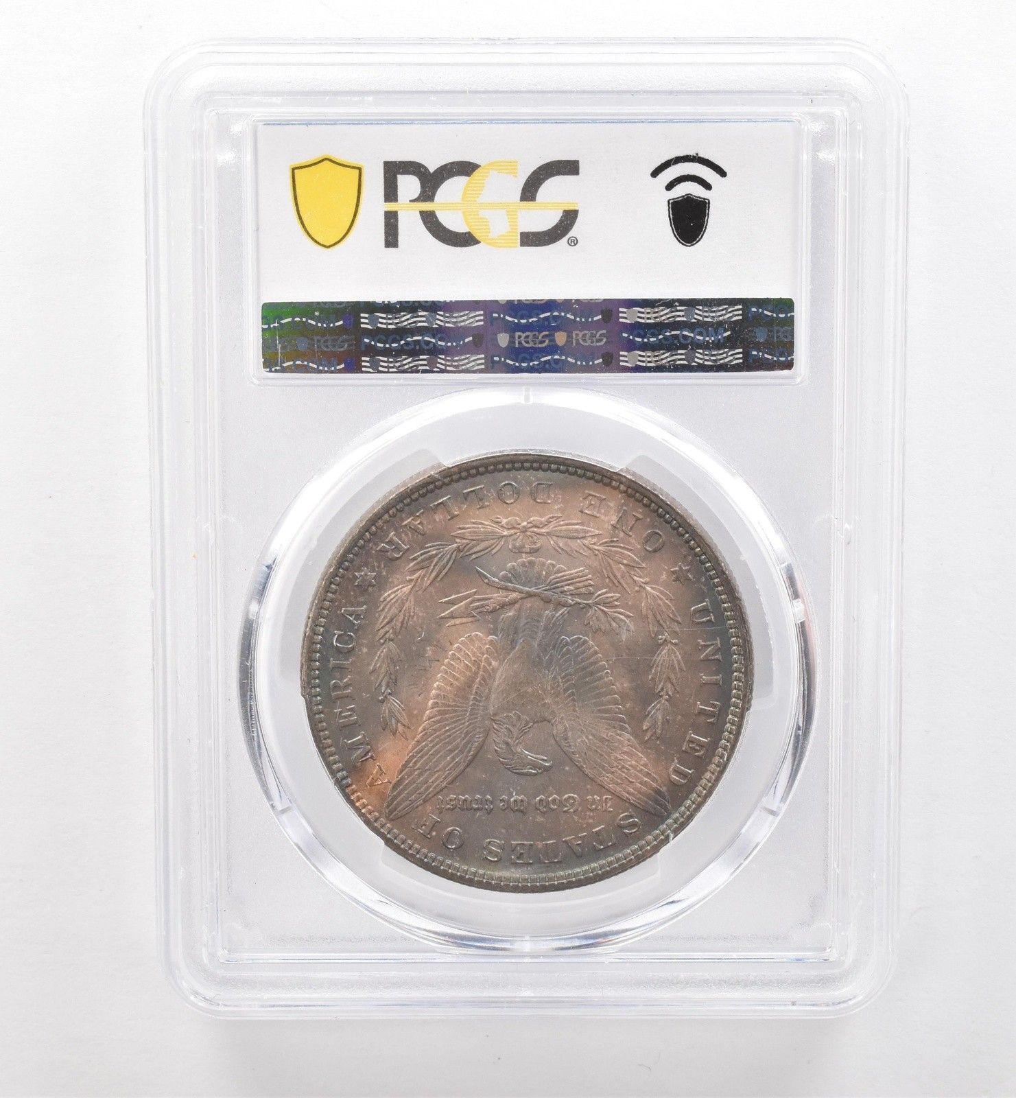 1879年 モルガン銀貨 MS63 PCGS 美しいT字型裏面 *7443 - メルカリ