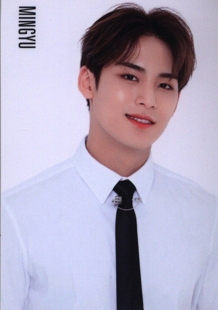 SEVENTEEN MINGYU トレーディングカード SEVENTEEN MINGYU トレーディングカードセット - メルカリ