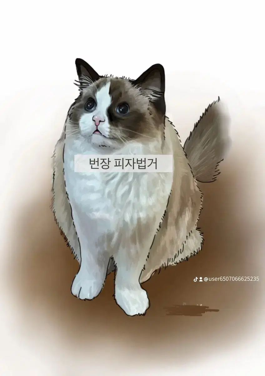 いっぬ出品 ペット出品 - メルカリ