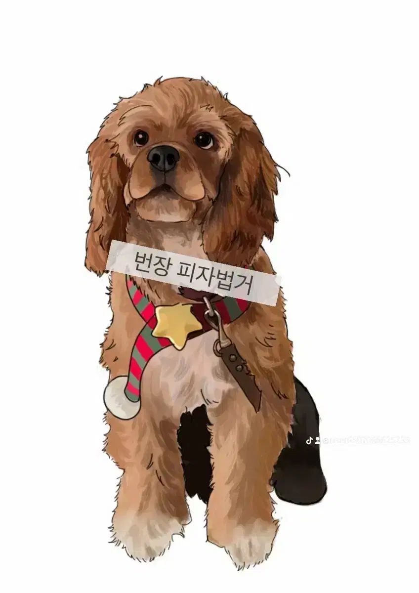 いっぬ出品 ペット出品 - メルカリ