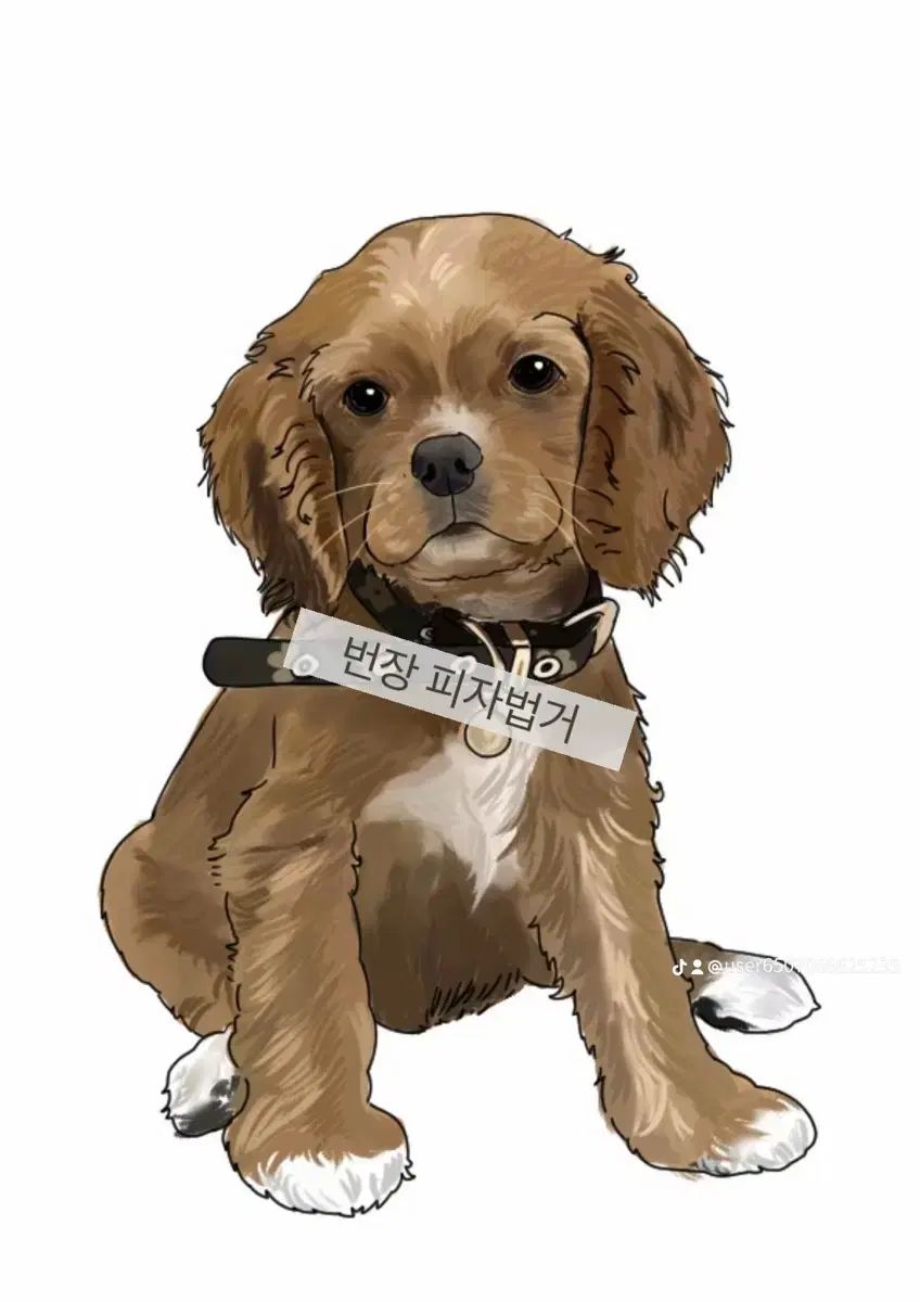 ペット出品 - メルカリ