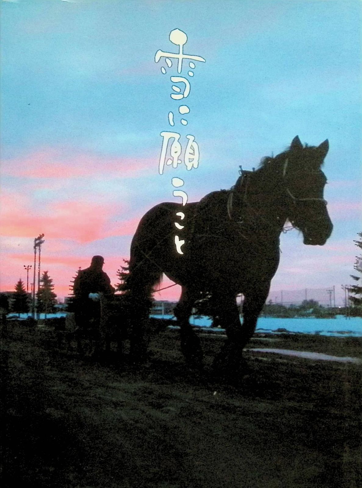 雪に願うこと プレミアム・エディション[DVD2枚組] - メルカリ
