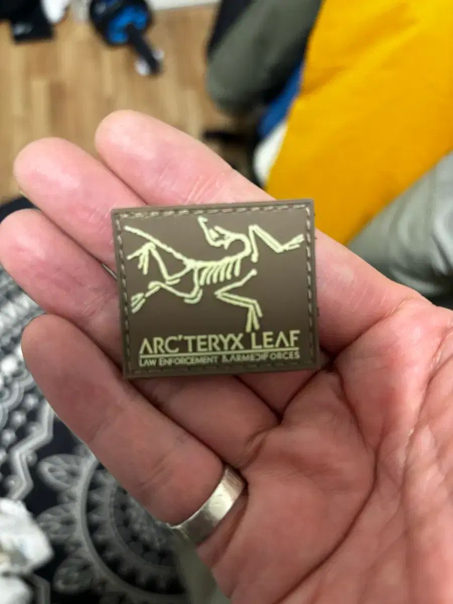 Amazon.co.jp: Arc'teryx alpine academy ワッペン パッチ