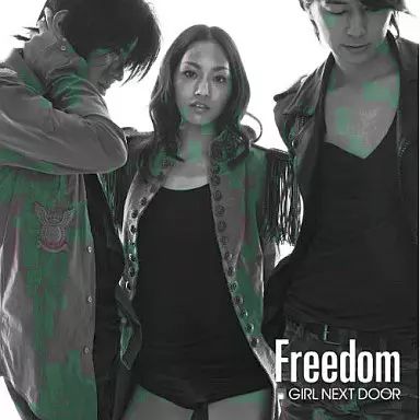 邦楽 The N.E.X.T. 中古】邦楽CD GIRL NEXT DOOR / Freedom[DVD付初回限定盤] - メルカリ