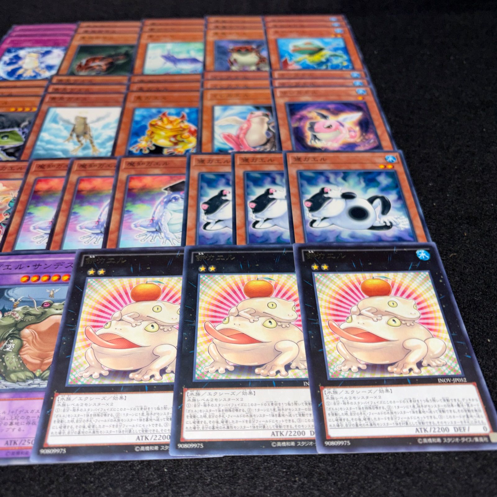 遊戯王 No.PP333 カエルデッキ 餅カエル デッキパーツ 餅カエル ガエル