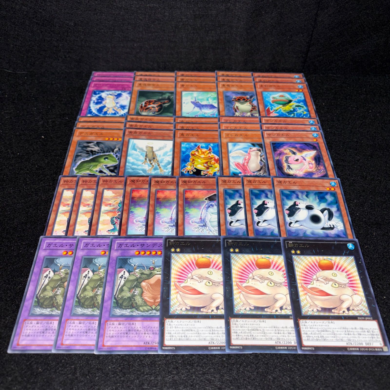 遊戯王 No.PP333 カエルデッキ 餅カエル デッキパーツ 餅カエル ガエル