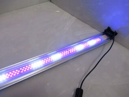 ゼンスイ ZENSUI LEDランプ 150cm ブルー×ホワイト BLUE WHITE 水槽用
