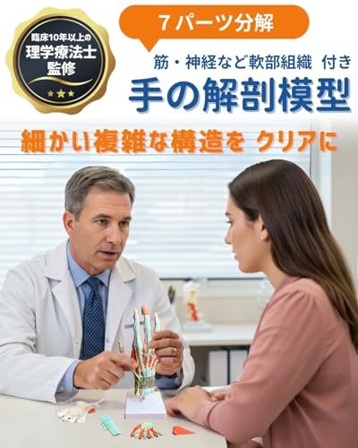 KIYOMARU 手解剖模型 7パーツ分解 等身大 軟部組織付き 理学療法士監修
