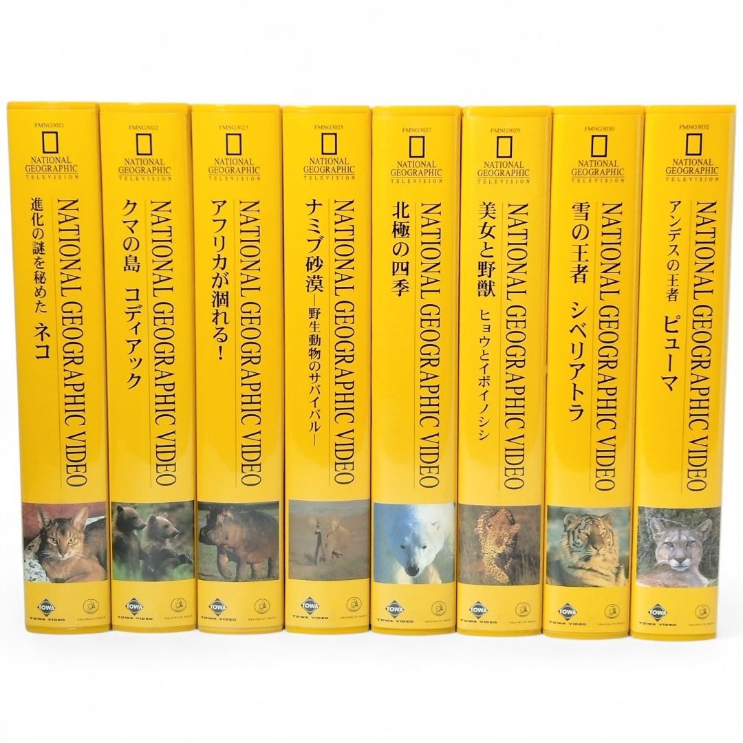 VHS 動物と自然のビデオ　ジオ・ワールド　全10巻セット　中古 917PHWRa7jL._AC_UF350,
