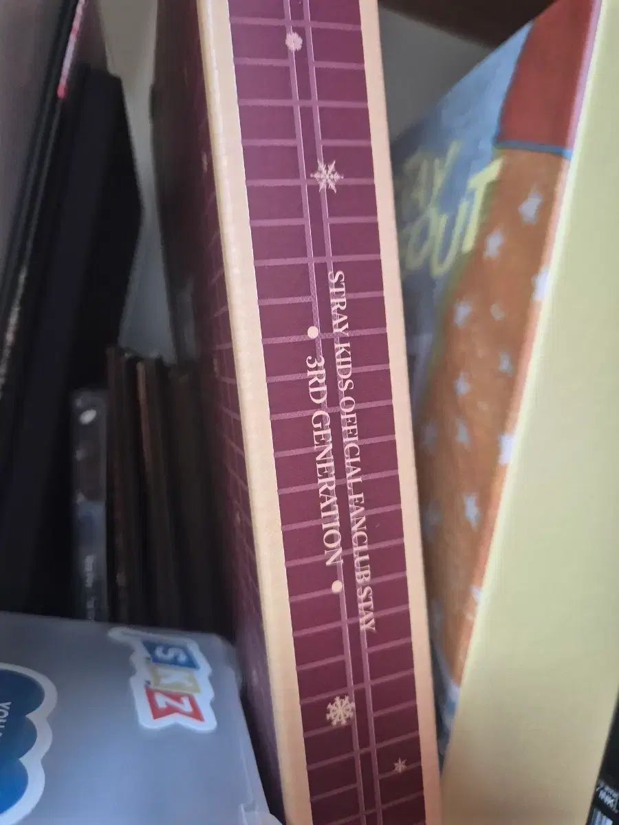 Stray Kids(ストレイキッズ・スキズ・SKZ)ファンクラブ STAY 3期キット