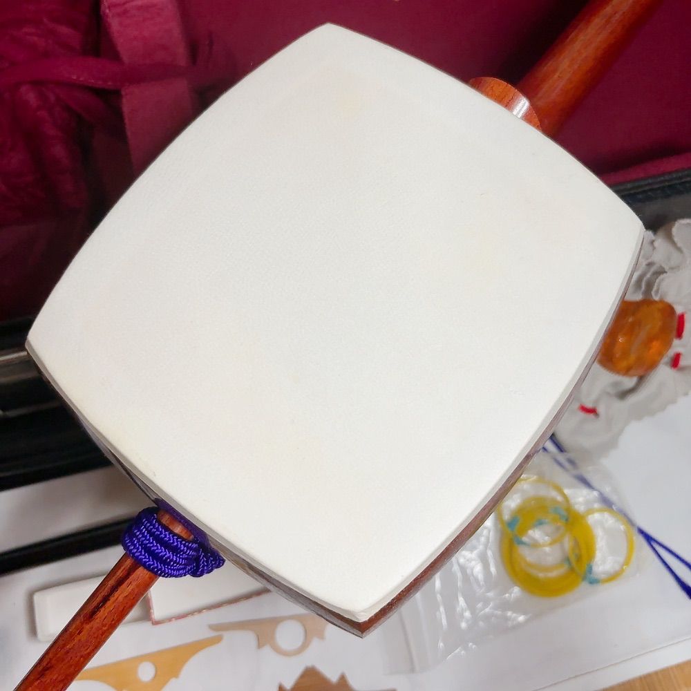 津軽三味線 三味線セット ケース付き 和楽器 伝統楽器 入門用 練習用