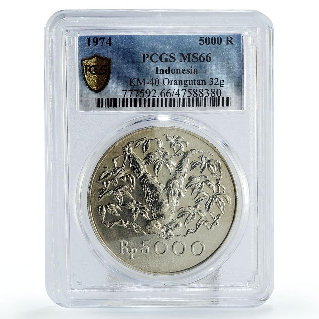 インシア 5000 ルピア コンサベーション オランウータン モンキー