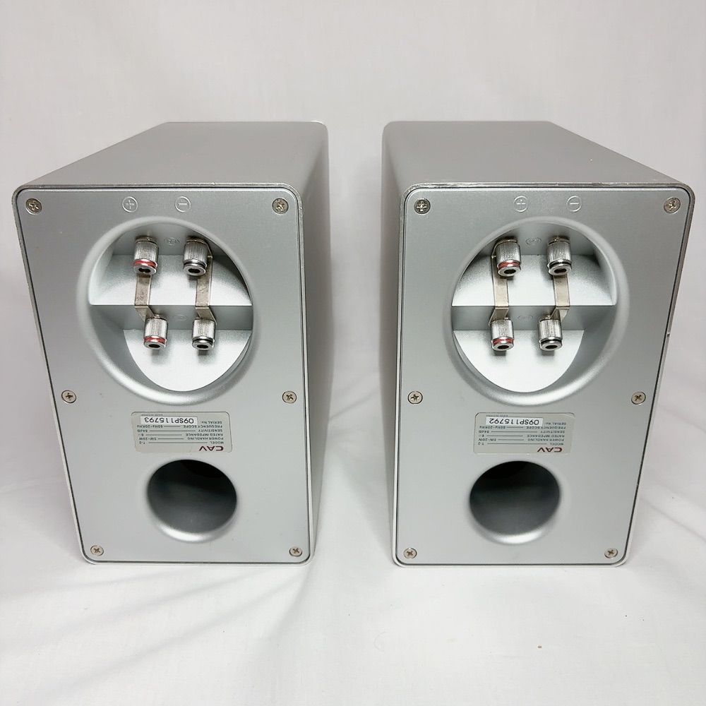 CAV VAZIO T-2 真空管アンプ スピーカーセット 真空管サウンド