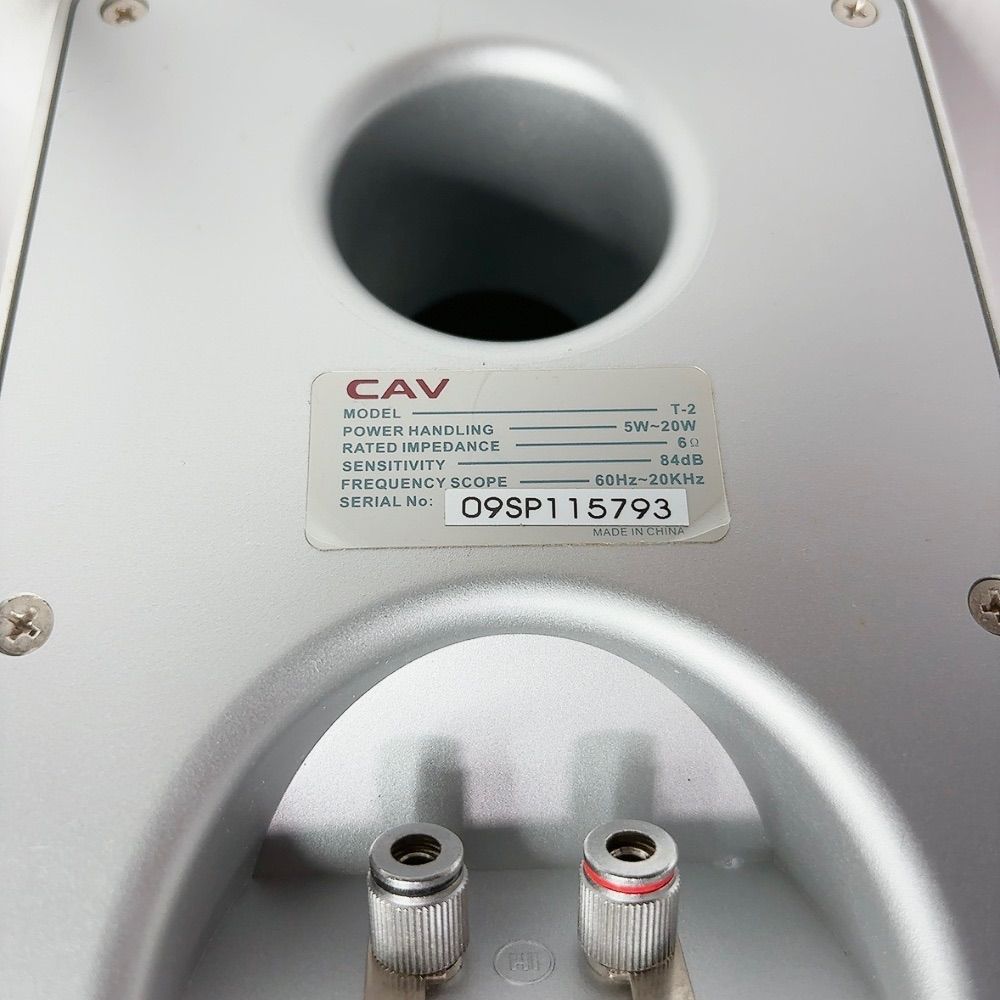CAV VAZIO T-2 真空管アンプ スピーカーセット 真空管サウンド