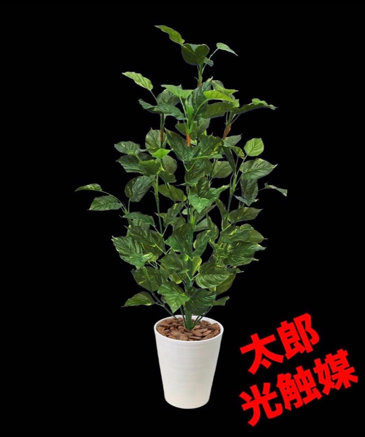 人気SALE，お得 光触媒 人工観葉植物 ウォールグリーン フェイク