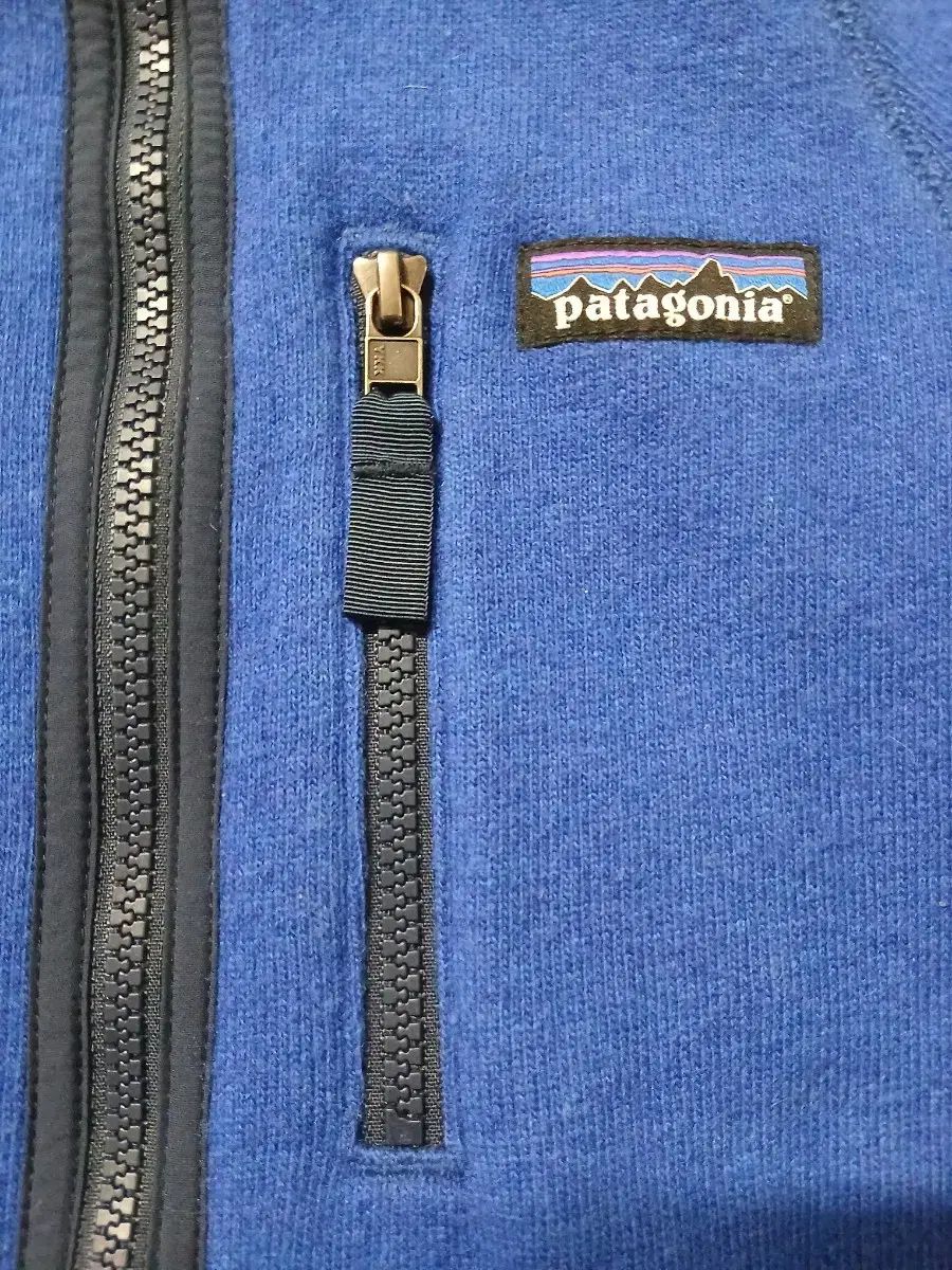 パタゴニア ブルー フリース ジャケット