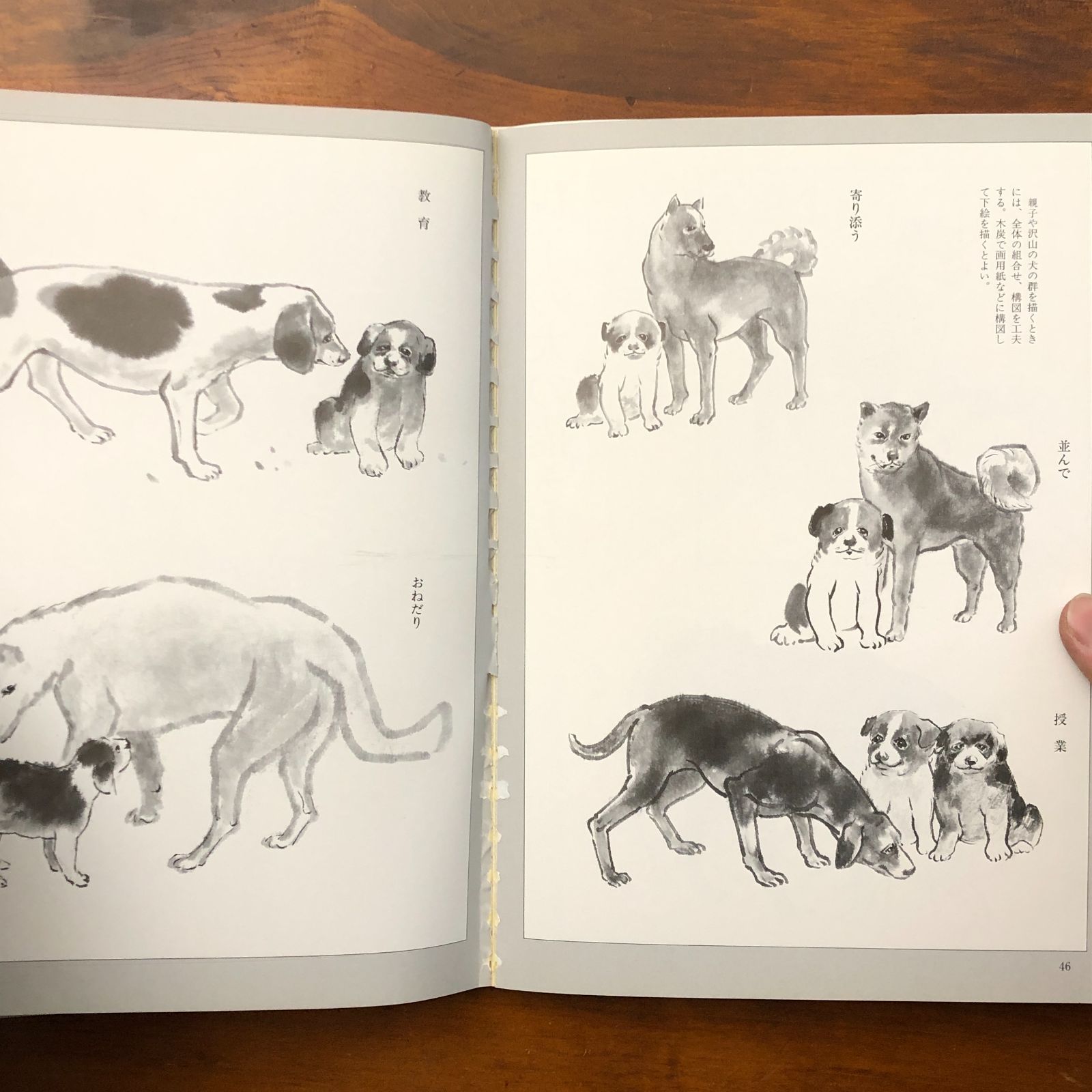 犬の水墨画描法 玉雲水墨画 第20巻 山田玉雲 秀作社 1993年9月10日