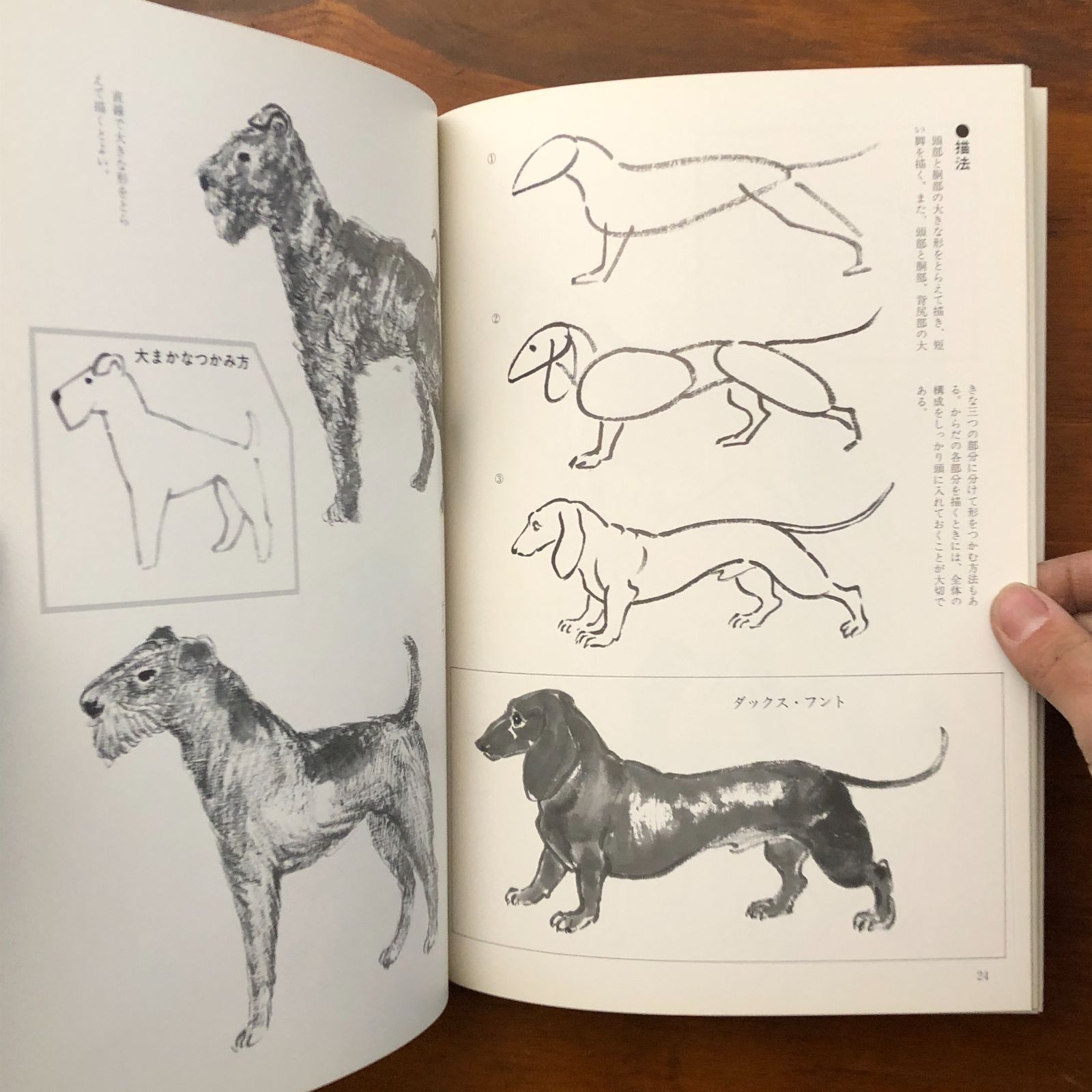 犬の水墨画描法 玉雲水墨画 第20巻 山田玉雲 秀作社 1993年9月10日
