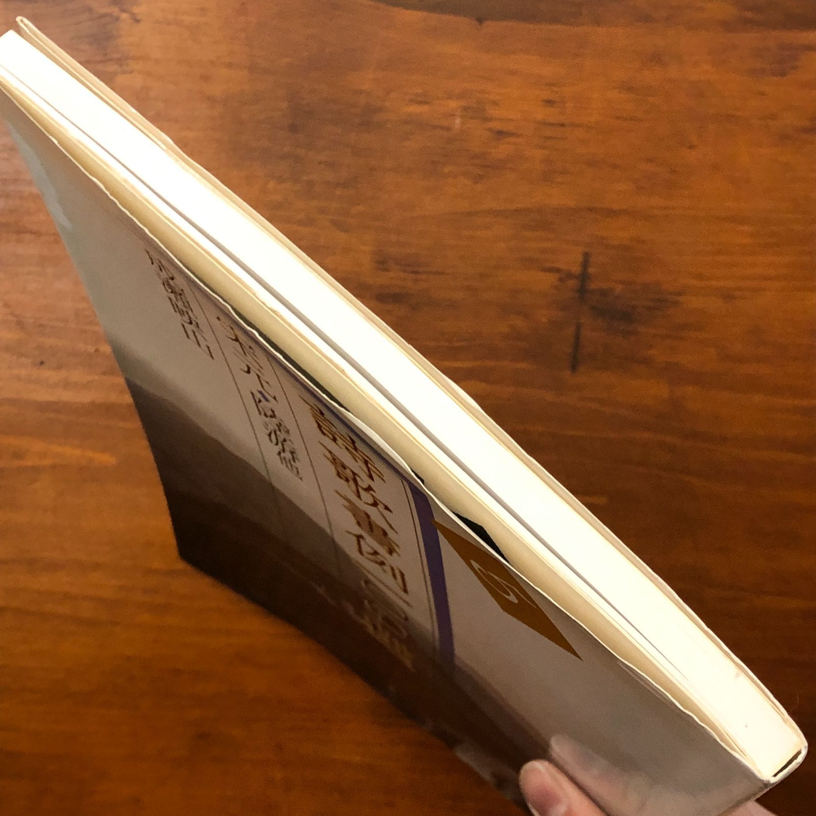 詩歌書例100選 5 宋元・陸游 成瀬映山 二玄社 1998年7月18日 初版発行