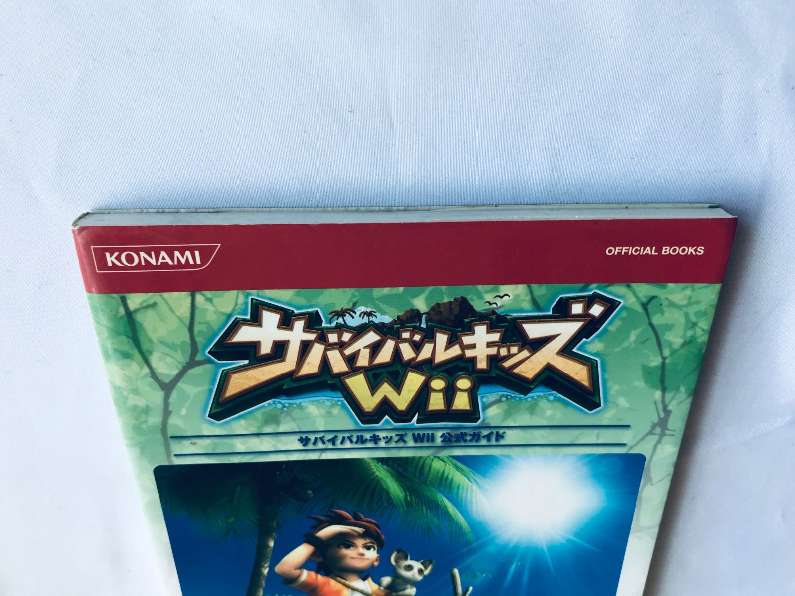 サバイバルキッズWii 公式ガイド 攻略本 初版 Survival Kids Wii 