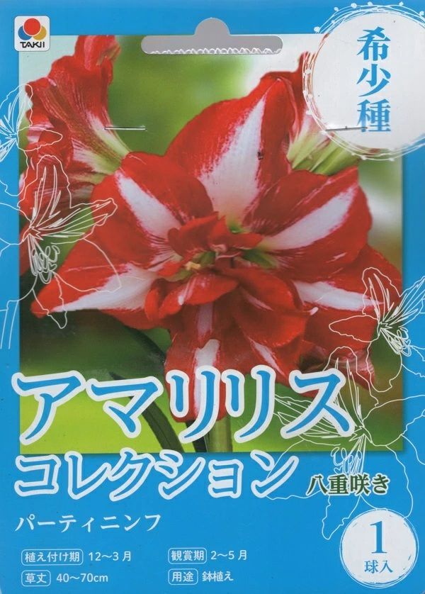 花球根 アマリリスコレクション 八重咲き パーティニンフ 1球入 タキイ