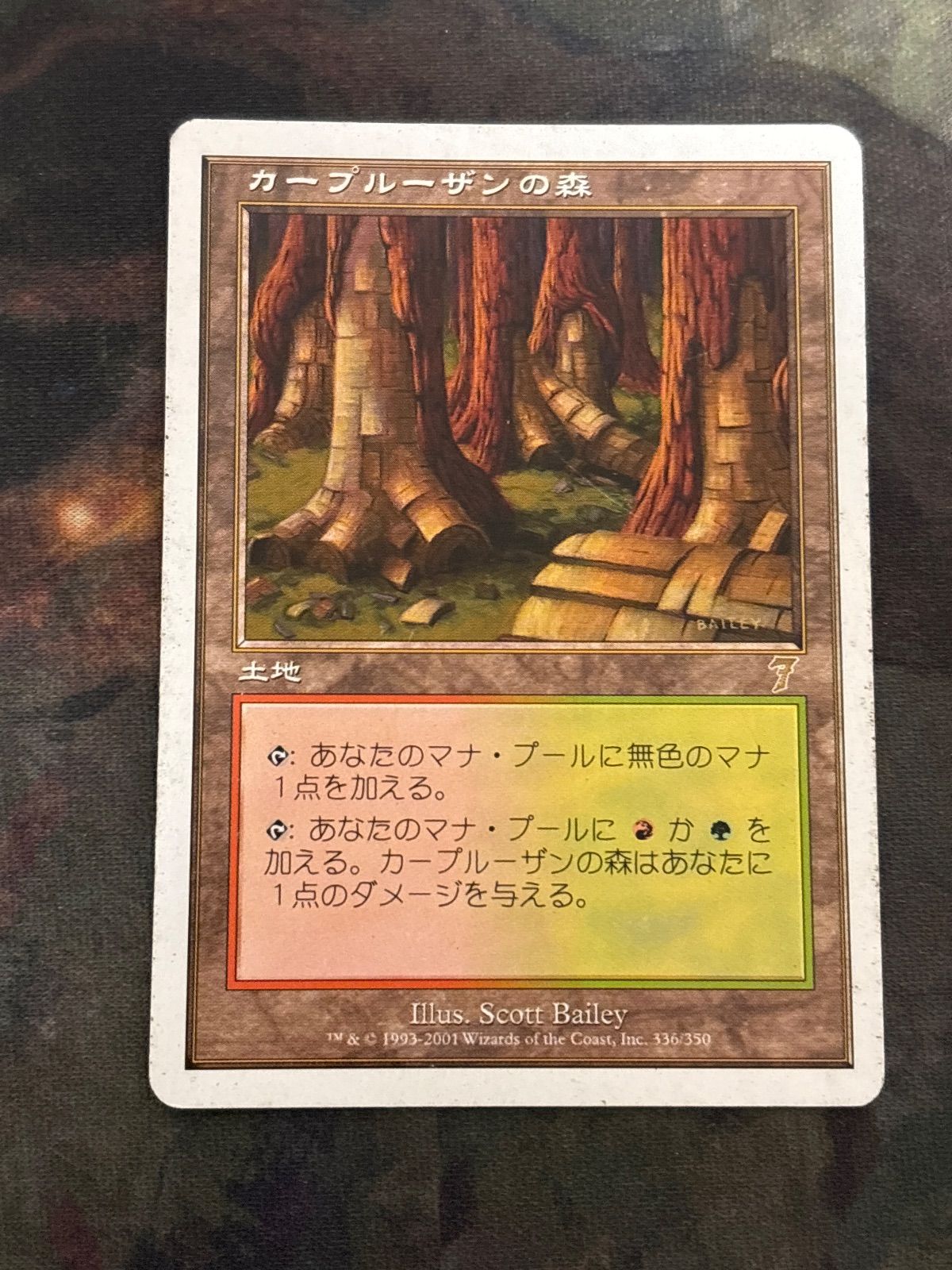 kw6 36 カープルーザンの森/Karplusan Forest 7ED 日本語 JP MTG