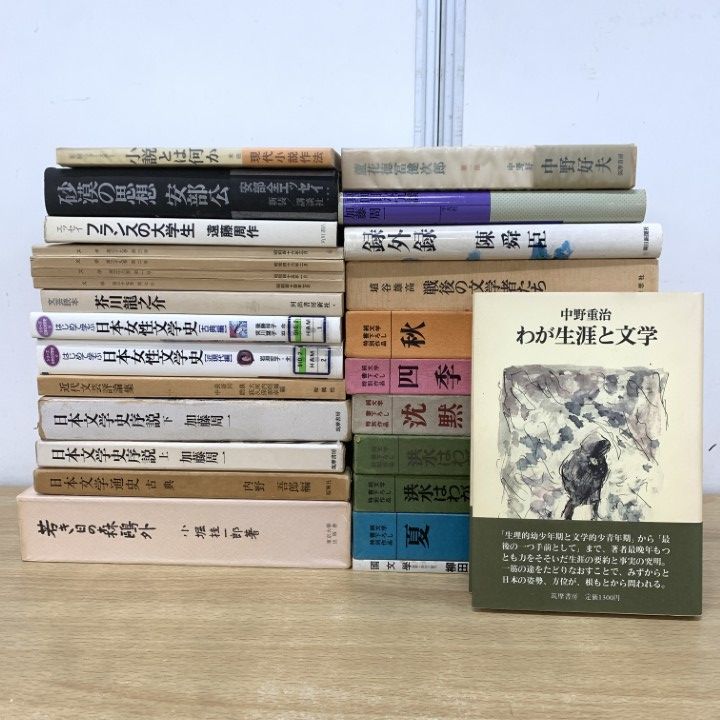 □01)【1点限り!】文学・文学研究の本 まとめ売り約25冊セット/純文学