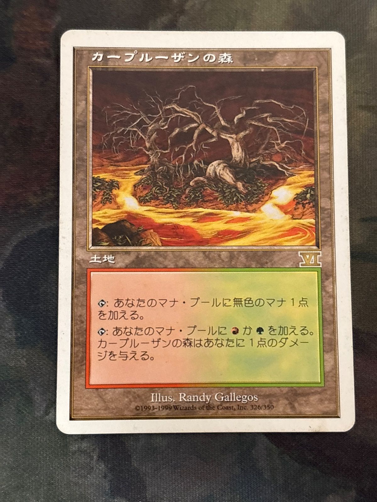 kw6 39 カープルーザンの森/Karplusan Forest 6ED 日本語 JP MTG