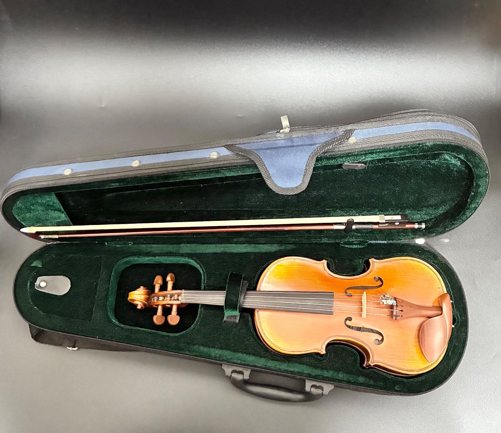 ハルシュタット（Hallstatt）バイオリン - メルカリ