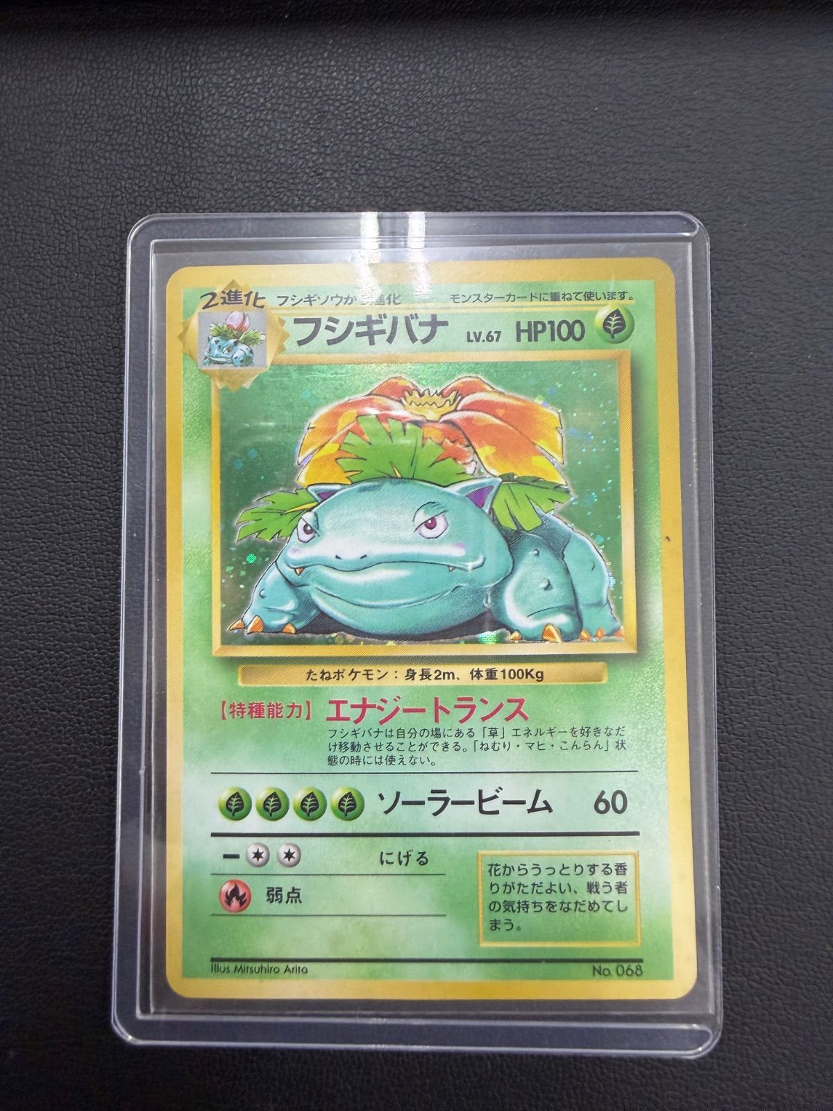 初期旧裏 フシギバナ マーク無し エラーカード - メルカリ