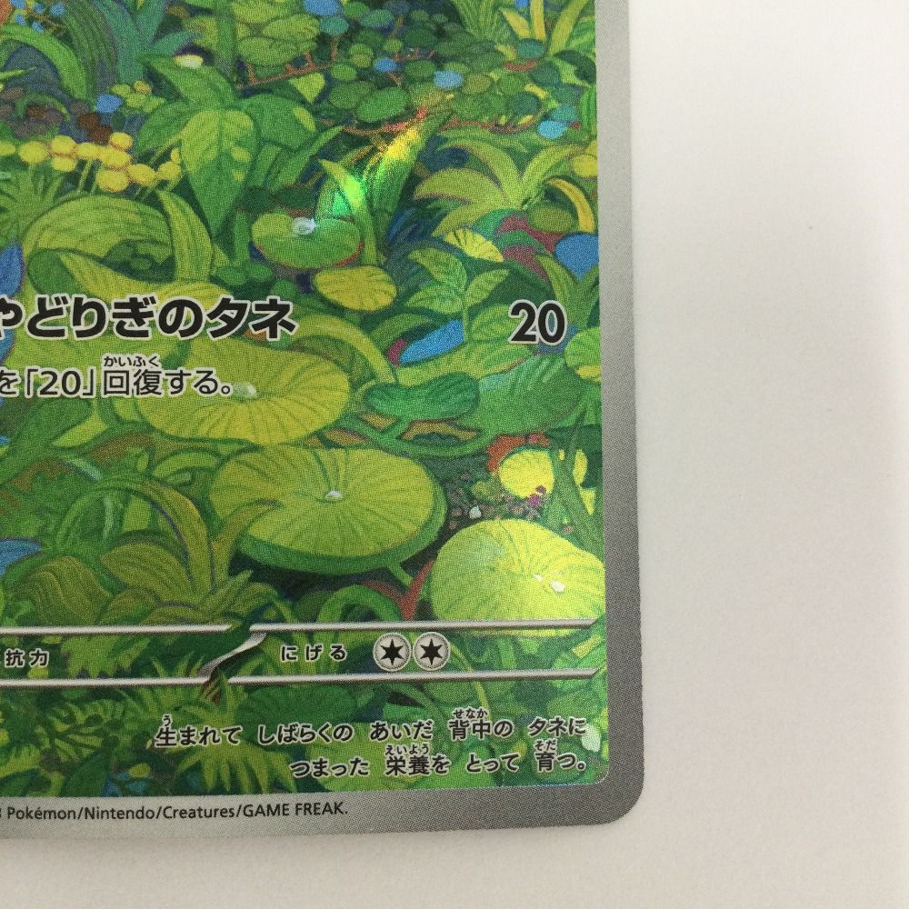 ζζ トレカ ポケモンカード フシギダネ 166/165/SV2a/B AR - メルカリ