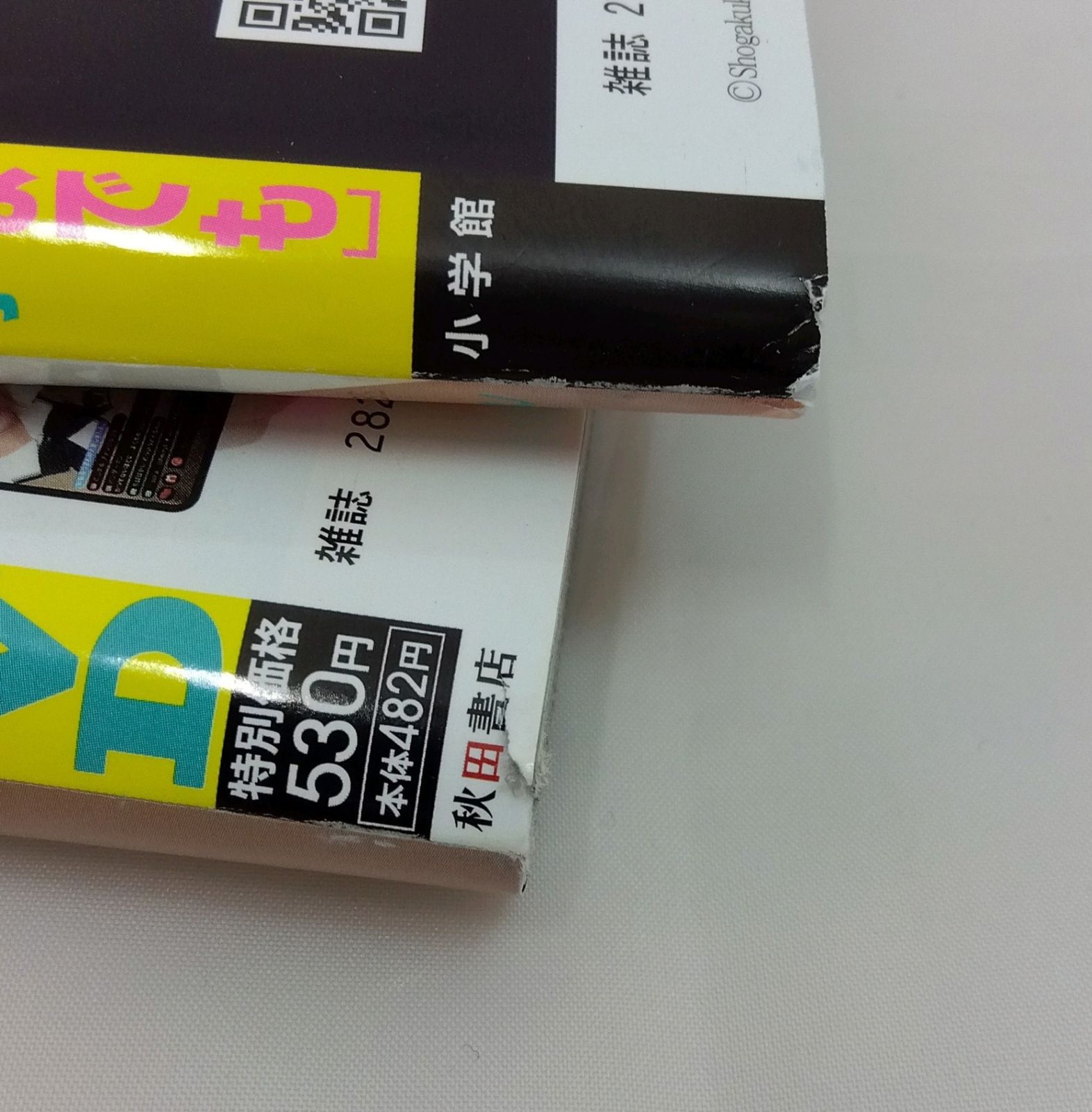 一ノ瀬瑠菜 2冊セット】 ヤングチャンピオン No.10 ファイル付き