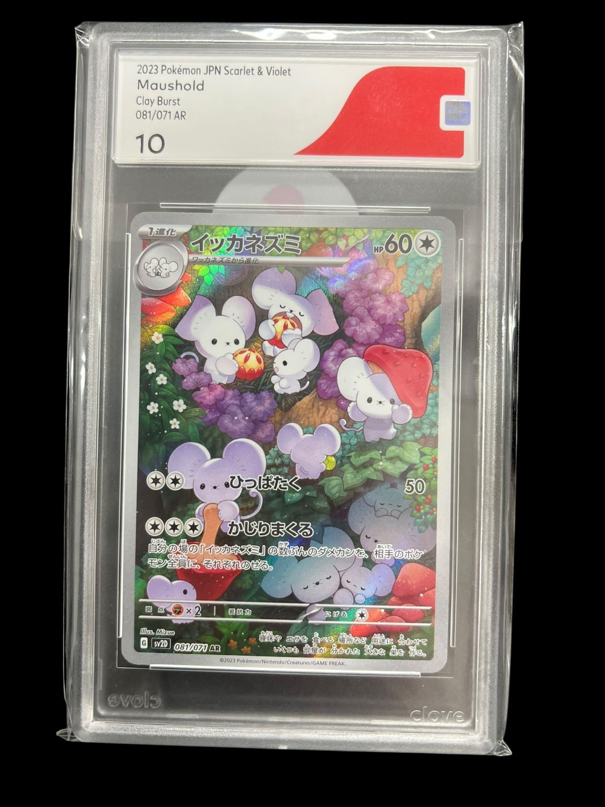 送料無料】ポケモンカード イッカネズミ AR CGC10 sv2D 081/071 - メルカリ