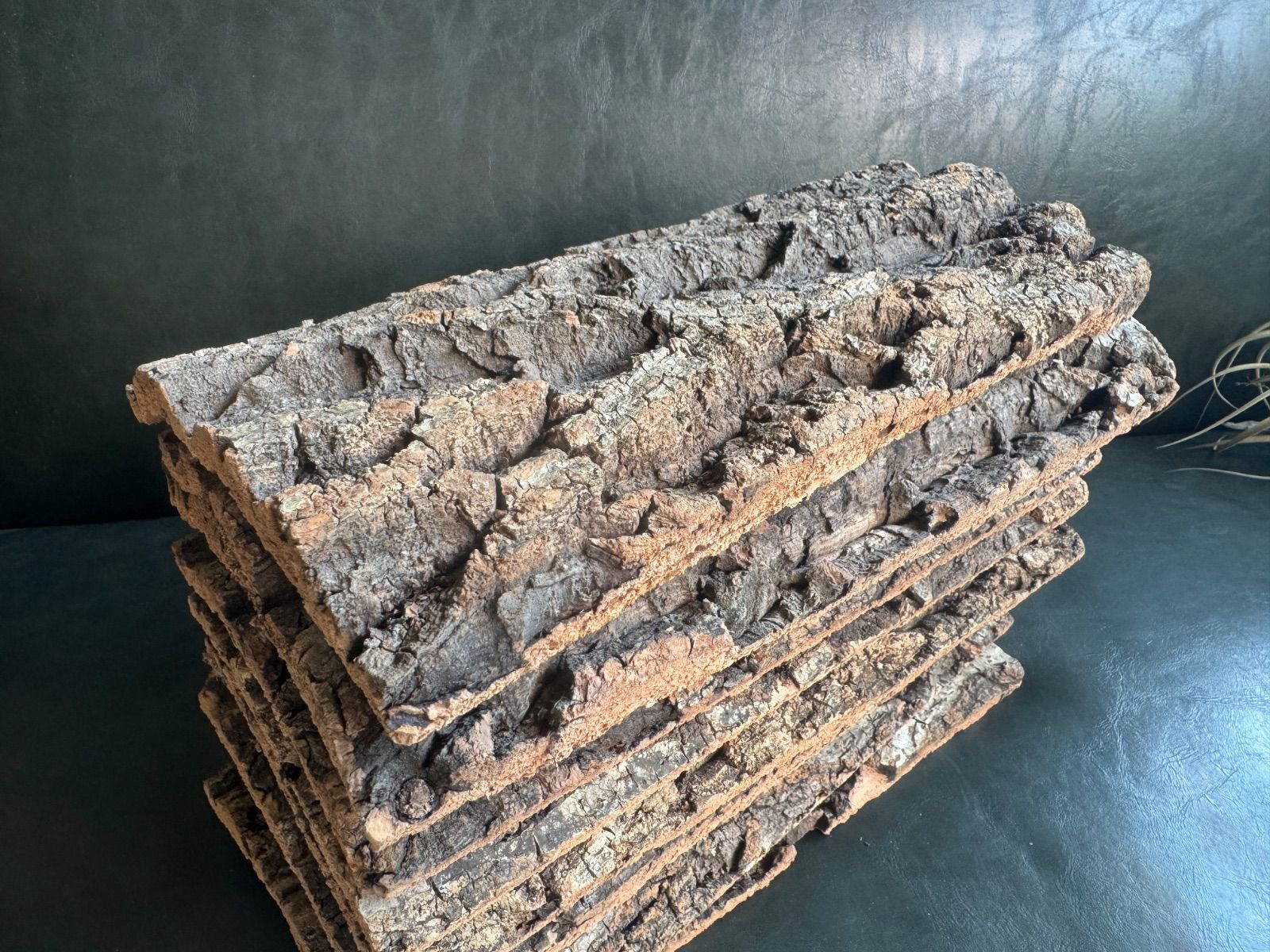 天然バージンコルク着生板10枚セット 着生植物 コルク樹皮 - メルカリ