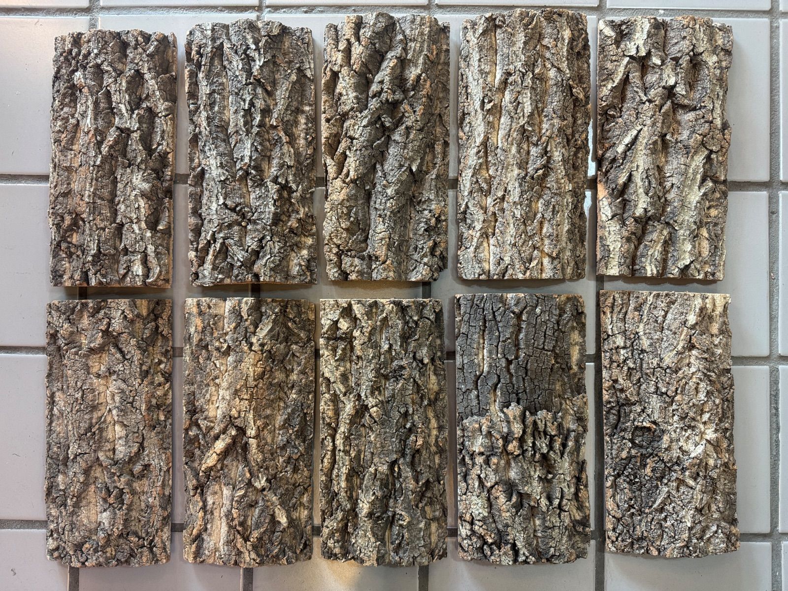 天然バージンコルク着生板10枚セット 着生植物 コルク樹皮 - メルカリ