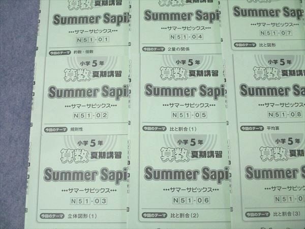 SAPIX 小学5年 算数 夏期講習 サマーサピックス N51-01～13 計13回分