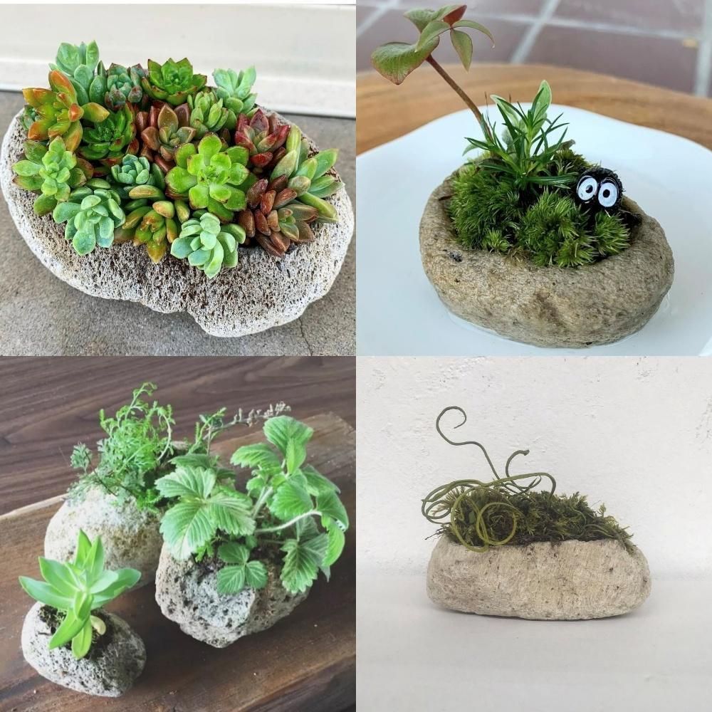 アイテラスの軽石鉢 8点セット｜軽量＆通気性抜群｜観葉植物や多肉植物