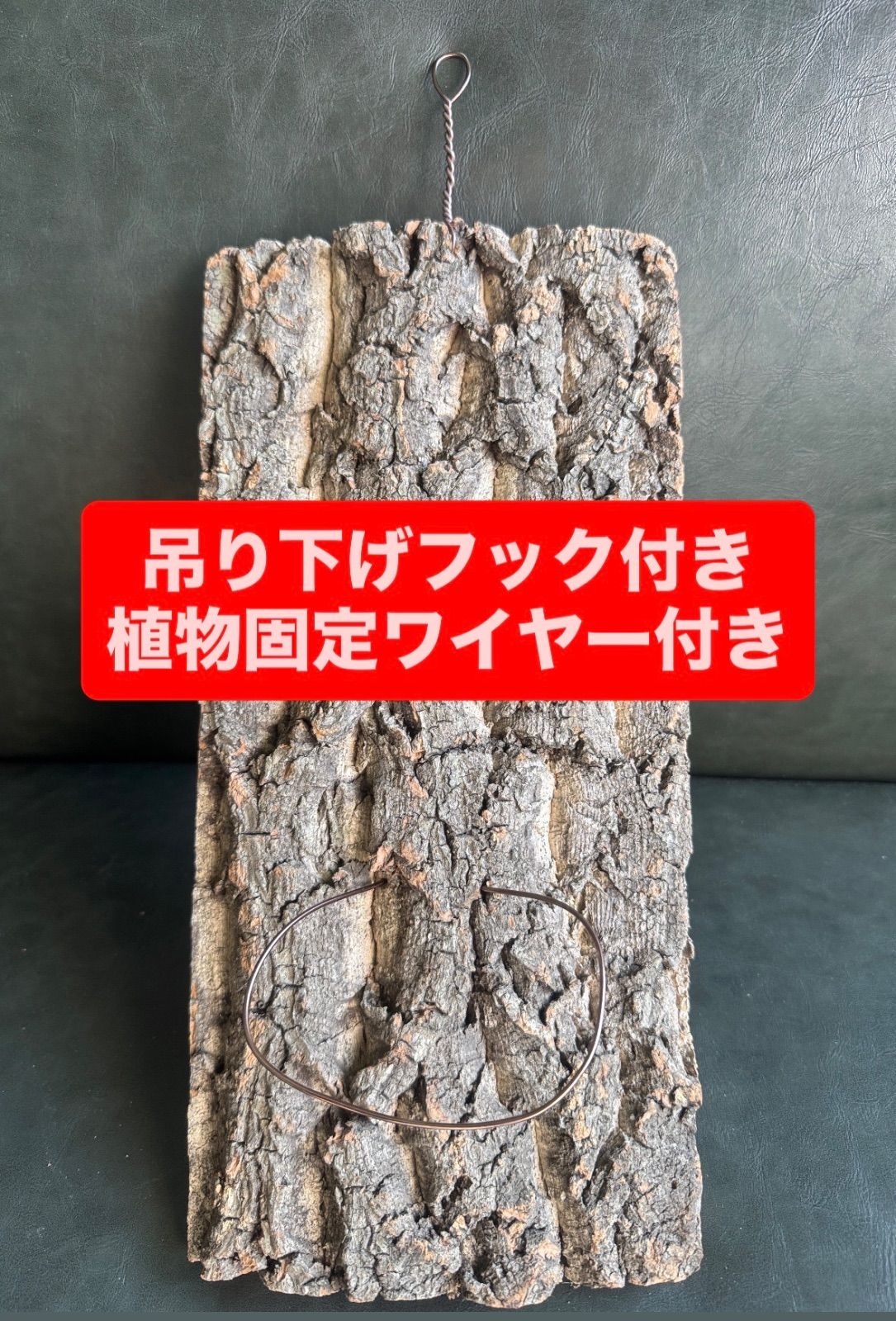 吊り下げフック・植物固定ワイヤー付き天然バージンコルク着生板1枚 着